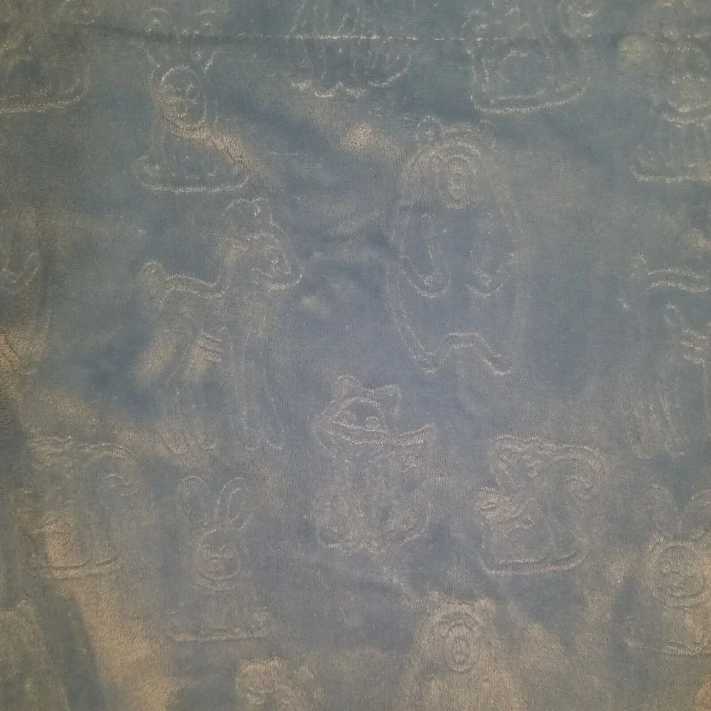 Baby Thro Blue Embossed Blanket Forest Animals Bear Deer Raccoon Rabbit